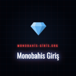 Monobahis giriş ekranına erişim sağlayan bir kullanıcı.