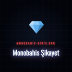 Monobahis şikayet konularını bir bilgisayar ekranından inceleyen kişi